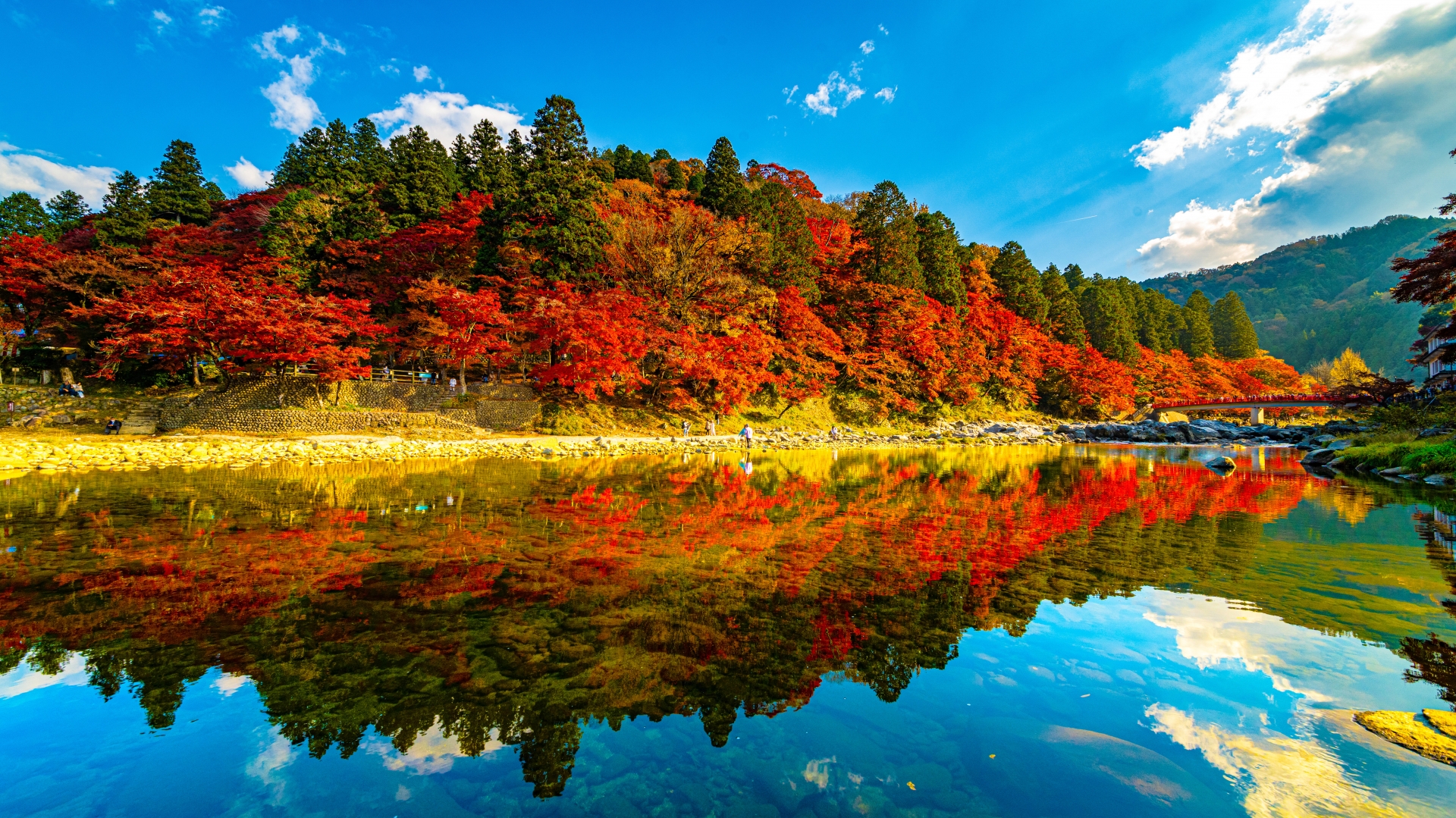 水辺に反射する紅葉